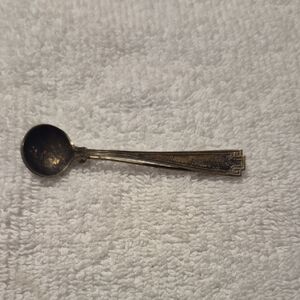 Elegant Silver Spoon